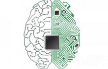 neuromorphic chip